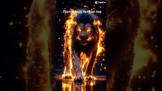 Flame tiger