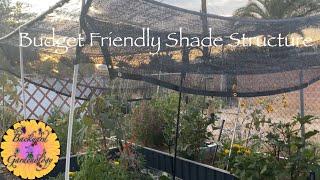 Cheap Shade Structure For The Garden