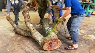 Extremely Unique 2000 USD Coffee Table Made From Ugly Large Tree Trunks // Masterpiece of Natural