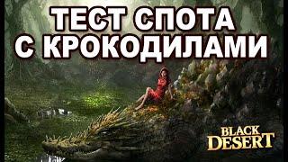 BDO: ТЕСТ Крокодилов в Лагри. Фарм ресов на синий обвес Галеона в Black Desert (MMORPG)