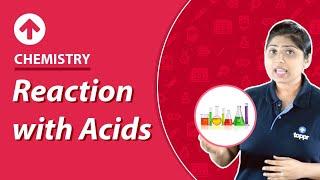 Reaction with Acids | Chemistry