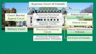 The Canadian Judicial System