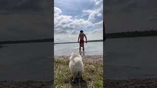 Зачем меня взяли с собою???