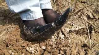 High heels mud stuck