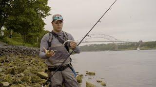 Fishing Paddle-Tail Swimbaits for Striped Bass