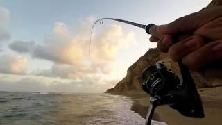 UL Rock Fishing in the Mediterranean C&R