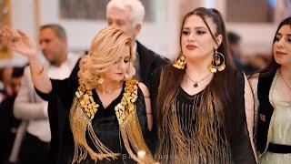 Best Kurdish wedding by Farshad amini harira | Kurdish dance 2023