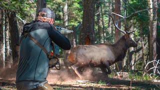 DIY New Mexico Elk Hunt | Open Sight Muzzleloader