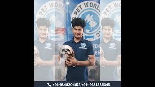 NIKKI'S PET WORLD- PET SHOP | PET GROOMING SPA | VET CARE | PET CLINIC  | PET KENNELS - HYDERABAD