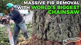 World's BIGGEST Chainsaw?! Cutting Down A GIANT TREE! - Douglas Fir Removal