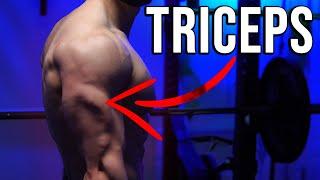 Grow Your Stubborn Triceps (SIMPLE FIX!)