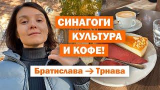 Трнава: куда сходить  Путешествия по Словакии