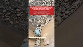 Three Thousand Tons of River Stones — Moved by Hand! #work #workers