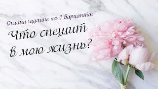 Что спешит в мою жизнь?  Онлайн гадание на 4 варианта | Таро онлайн | Расклад Таро