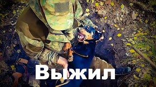 Охота на барсука. Хорошо, что живой // Badger hunting. It's good that he's alive