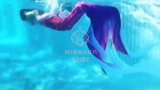Mermaid cosplay mermaid swimming in the pool #siren #mermaid #mermaidtail