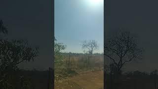 Please like subscribe