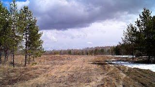 Steppe, Wetlands and forest in the Tyumen Oblast