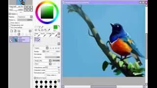 Superb Starling speed painting (2 hours) by SanDra