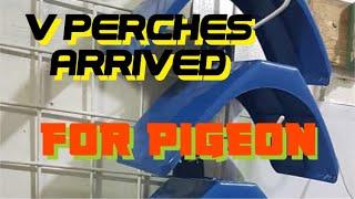 Dumating na! V Perches for Pigeon