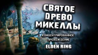 Секреты Святого Древа Микеллы. Elden Ring(v. 1.03.3). Гайд. Прохождение. Таймкоды.