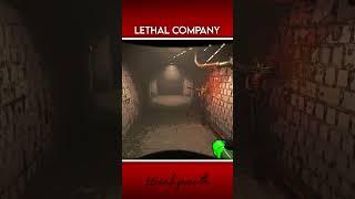 Taretten Kaçış Yok - Lethal Company (9)