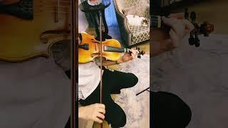 Suzuki - Etude 12 - Violin Exercise #suzukiviolin #music #suzukiviolinbook1