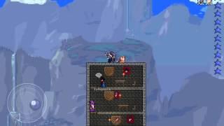 Ездовые питомцы в terraria версии 11965 на андроид !