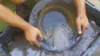 Crushing hi grade gold ore to melt a gold bar