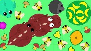 MOPE.IO ТОЛСТЫЙ МАМОНТ И ОГОНЬКИ ФЕНИКСА ИГРА MOPE IO