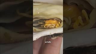 Have you ever eaten bean crab?#cute #animal