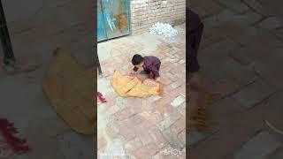 Bache ki namaz se muhabat #shorts #trending #bacha #namaz