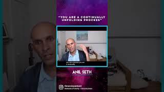 "You Are a Continually Unfolding Process," says expert neuroscientist. #neuroscience #consciousness