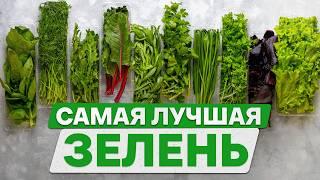 ЭТА зелень поможет ВАМ масштабировать свой БИЗНЕС! / 5 КУЛЬТУР зелени, которые покорили рынок!