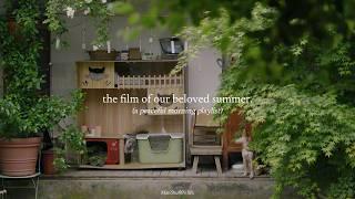 the film of our beloved summer. — (a peaceful morning playlist)