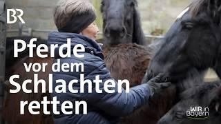 Pferde-Freunde Birnbaum: Die Fohlen-Retterin Sigrun Kleber | Wir in Bayern | BR