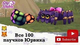 Все 100 паучков Юрвика┊All 100 spiders of Jurvik┊Паучки Стар стейбл┊Spiders Star Stable