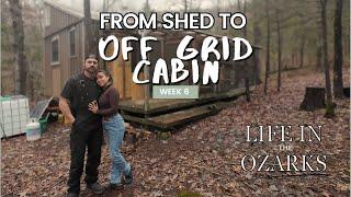 Woodys Off Grid Cabin Week 6, FINISHING UP & MOVING ON + our first auction