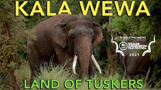 Kala Wewa, Sri Lanka | Land of Tuskers