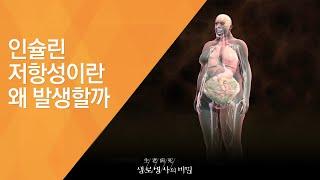 인슐린 저항성이란 왜 발생할까 - (20130216_449회 방송)_어머니의 슬픈 훈장 - 여성 대사증후군