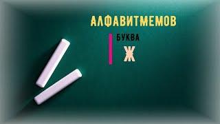 Учим Алфавит С Мемами | Мемный Алфавит 2021 года Буква Ж