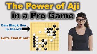 [Cho's Go] The Power of Aji in a Pro Game