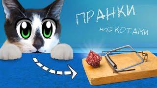 5 ПРАНКОВ над КОТАМИ | ЛУЧШИЕ ПРИКОЛЫ с КОШКАМИ vs А ну-ка Давай-ка