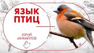 Язык птиц. Юрий Михайлов
