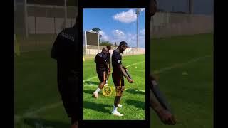 Entraînement des Lions