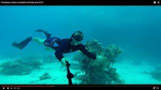 Freediving in Sharm el-Sheikh and Pirate boat 2015