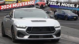 2024 Ford Mustang vs 2024 Tesla Model Y & GMC Truck Drag Racing @ Island dragway