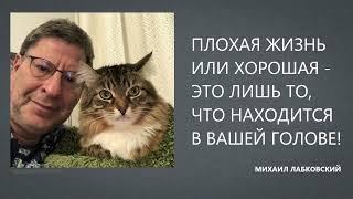 ПЛОХАЯ ЖИЗНЬ ИЛИ ХОРОШАЯ - ЭТО ЛИШЬ ТО, ЧТО НАХОДИТСЯ В ВАШЕЙ ГОЛОВЕ! Михаил Лабковский