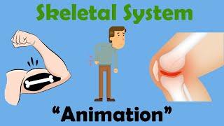 SKELETAL SYSTEM | Biology Animation