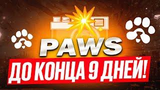 ️ PAWS 🟢 СРОЧНО! 🟢 ОСТАЛОСЬ ВСЕГО 9 ДНЕЙ! ПОСЛЕ ЖДЕМ СНИМОК И УЖЕ ЛИСТИНГ! ГОТОВЯТ ДОНАТ НА SOLANA